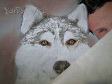 Малюємо сухий пастеллю портрет актора Тейлора Лотнера з собакою - ярмарок майстрів - ручна робота,
