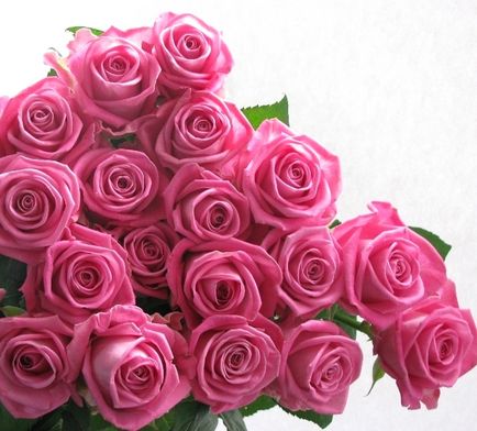 Roses aqua - pentru o frumusețe adevărată