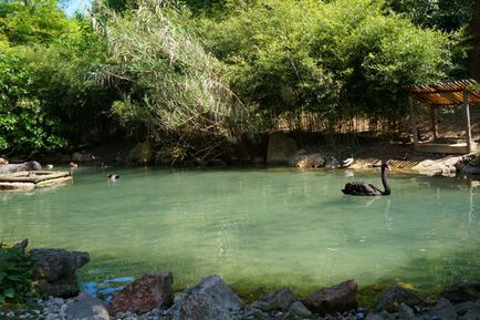 Parcul Safari și natura zoologică viva în Italia, cunoscute în străinătate