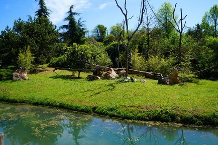 Parcul Safari și natura zoologică viva în Italia, cunoscute în străinătate