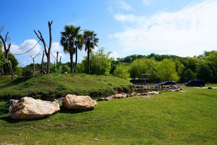 Parcul Safari și natura zoologică viva în Italia, cunoscute în străinătate