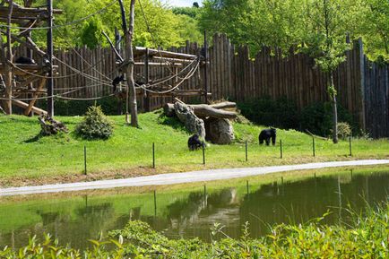 Parcul Safari și natura zoologică viva în Italia, cunoscute în străinătate