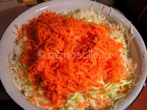 Coleslaw a paprika a téli (starter) Káposztasaláta paprika a téli