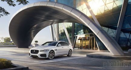 Сімейство котячих 5 моделей jaguar, на які варто звернути увагу