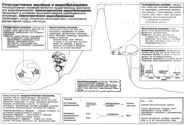 Сенсорна ізоляція це що таке сенсорна ізоляція визначення