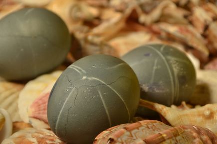 jegesedés sapka (gyártó ARFASOUND művészeti projekt) sapka máz