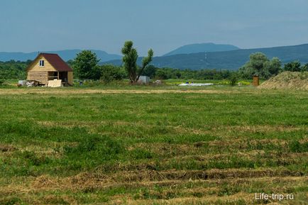 Сон на вуликах з бджолами і апітерапія в Краснодарі на базі відпочинку