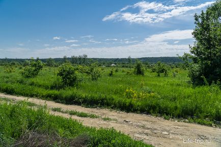 Сон на вуликах з бджолами і апітерапія в Краснодарі на базі відпочинку