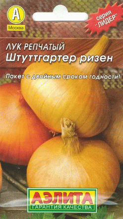 Разновидности на лука до Урал, обичам моята градина