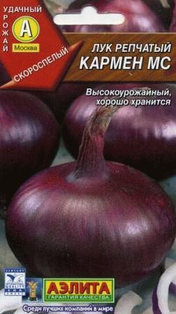 Сорти цибулі ріпчастої для уралу, люблю свій сад