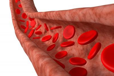 Будова і функції еритроцитів в крові