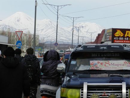 Божевільний квітковий день