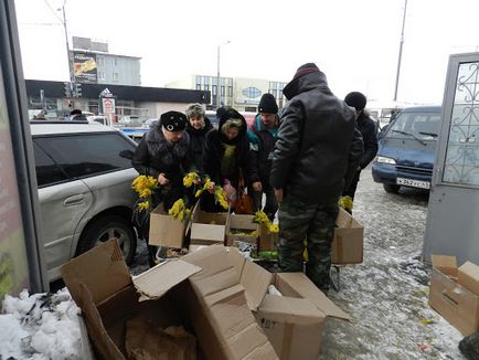 Божевільний квітковий день