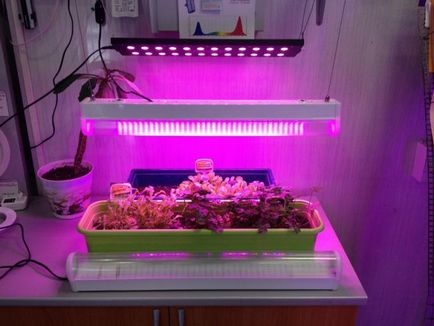 LED-uri pentru plante cu propriile mâini, lămpi cu diode, o lampă pentru răsaduri de iluminat, puteți