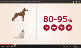 Тести онлайн російську мову і слово «кішка»