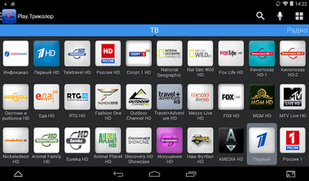 Tricolor TV multi-screen cum să configurați modul de conectare la un computer, telefon și tabletă