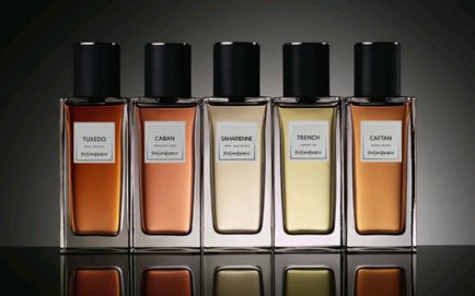 Soluție universală trench yves saint laurent ~ recenzii de parfumuri