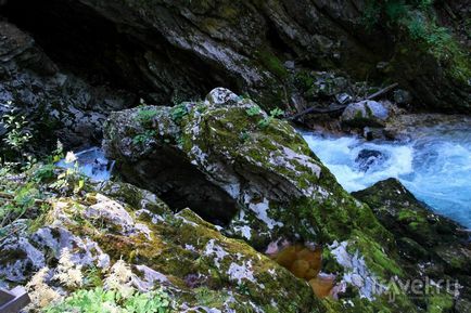 Ущелина вінтгар в словенії