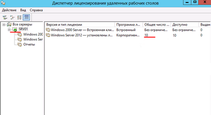 Instalarea serverului terminal de director activ pe serverul Windows