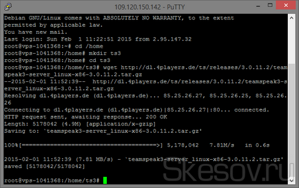 Установка сервера teamspeak3 на debian або ubuntu, інструкція скріншоти