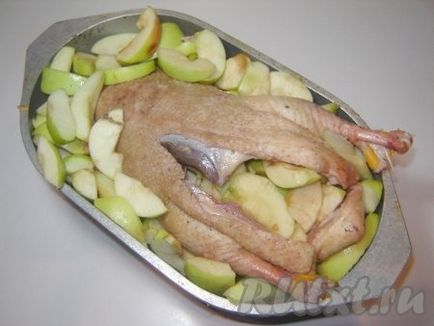 Качка з яблуками в духовці