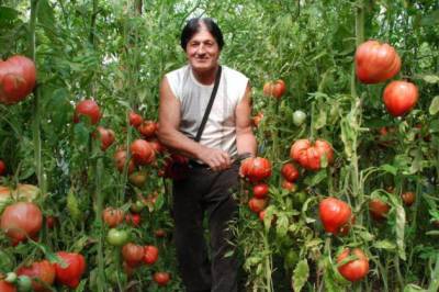 Captuseala - o tara de tomate - portalul de afaceri al lui Ismail