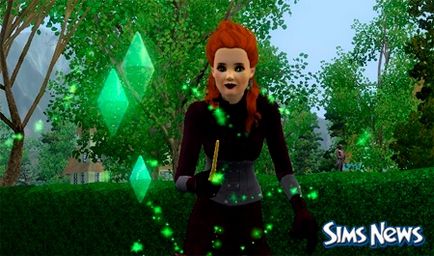 Witch The Sims 3