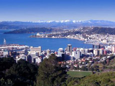 Wellington, Windy City