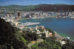 Wellington City információ