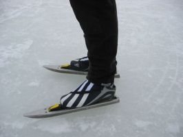 Alegem patinele!