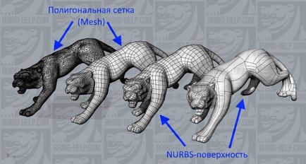 Відео як конвертувати полигональную сітку (mesh) в nurbs-поверхню, дмитрий булка