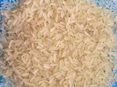 Tipuri de orez
