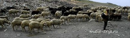 Alpesi út le (közúti) Alpesi út le