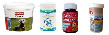 Vitamine pentru articulații, oase și ligamente pentru rase mari și mici și recomandări