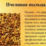 Воскова міль лікувальні властивості і застосування, настоянка і її призначення на лікування та відгуки, порадник