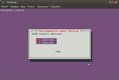 Poate pentru linux ubuntu, căutați temele simple, instalați bootloader burg!