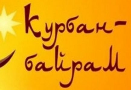 У Туреччині сталося «масове самогубство» овець