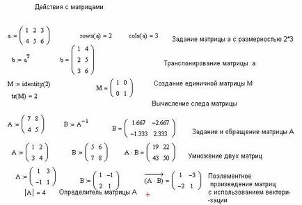 Expresia de intrare este de obicei evaluată sau atribuită unei variabile