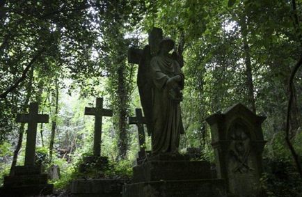 Хайгейтское кладовищі в лондоні історія, фото