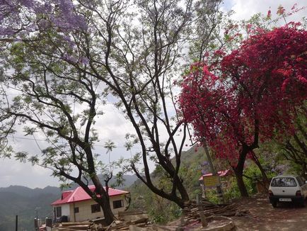 Himachal Pradesh este un loc care merită vizitat