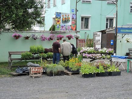 Legea a devenit mai simplă, iar vânzătorii de-a lungul drumurilor