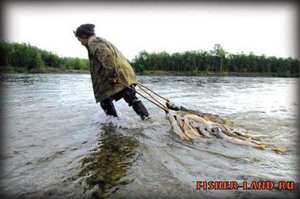 Unelte de pescuit interzise