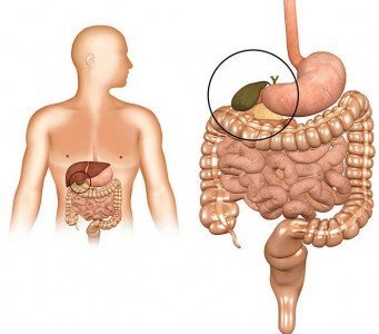 Stagnați tratamentul și prevenirea bilei! Vă sugerăm să înțelegeți, decât stagnarea bilei amenință, de unde