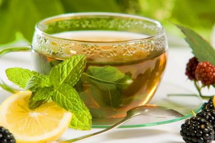 Зелений чай з мелісою користь і шкода
