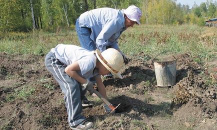 Pământul a zburat în hornul războiului rus al țării cu industria gazelor pentru casele și parcelele lor, tsfo, federalpress