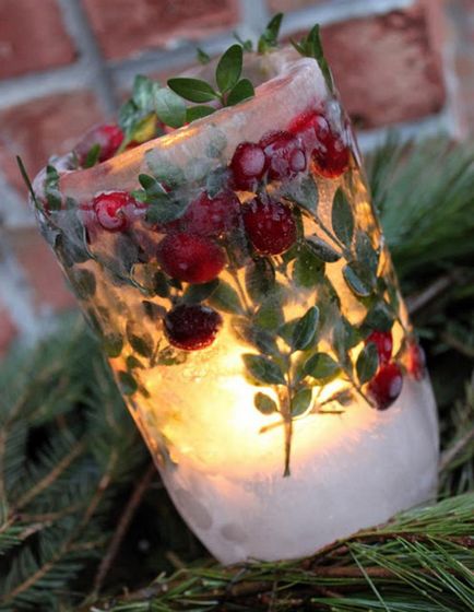 Fructe de padure de iarnă în decor de Anul Nou 25 idei interesante pentru utilizarea castron - târg de maeștri -