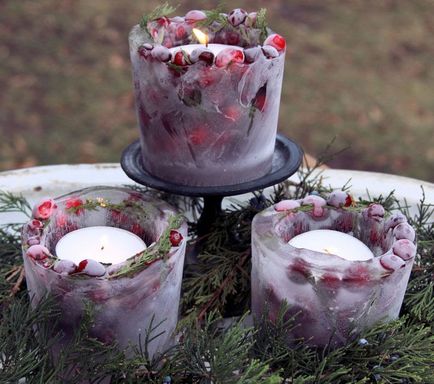 Fructe de padure de iarnă în decor de Anul Nou 25 idei interesante pentru utilizarea castron - târg de maeștri -