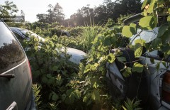 Zona de înstrăinare a Fukushima, o lume abandonată în fotografii