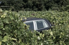 Зона відчуження Фукусіми, покинутий світ у фотографіях