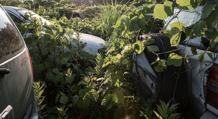 Fukushima tilalmi zóna, elhagyott a világ képekben